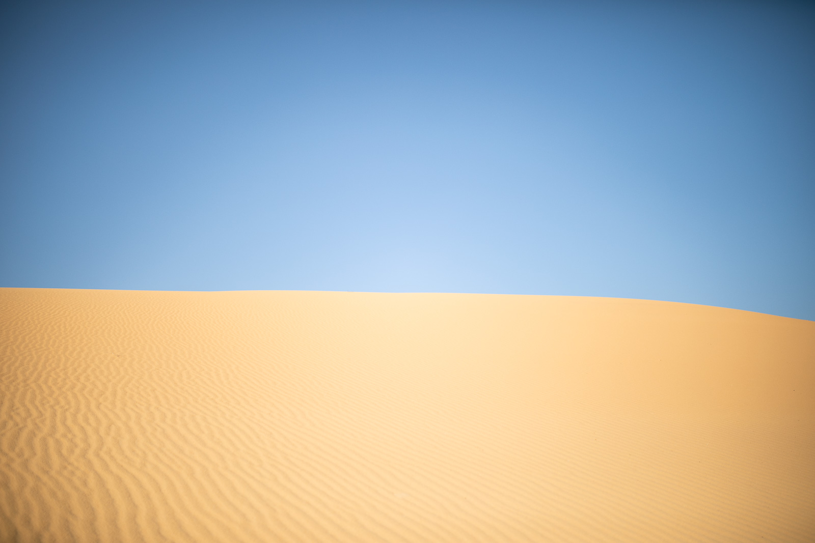 Human & Nature  outoftime 67